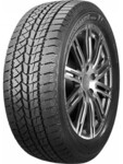 Double Star DW08 225/55 R17 97T